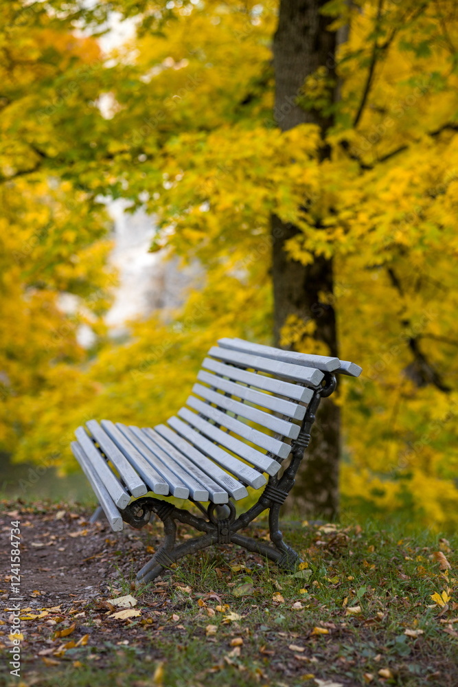 Park bench in an autumn setting with vibrant yellow trees and fallen leaves. Park bench in an autumn setting with vibrant yellow trees and fallen leaves.