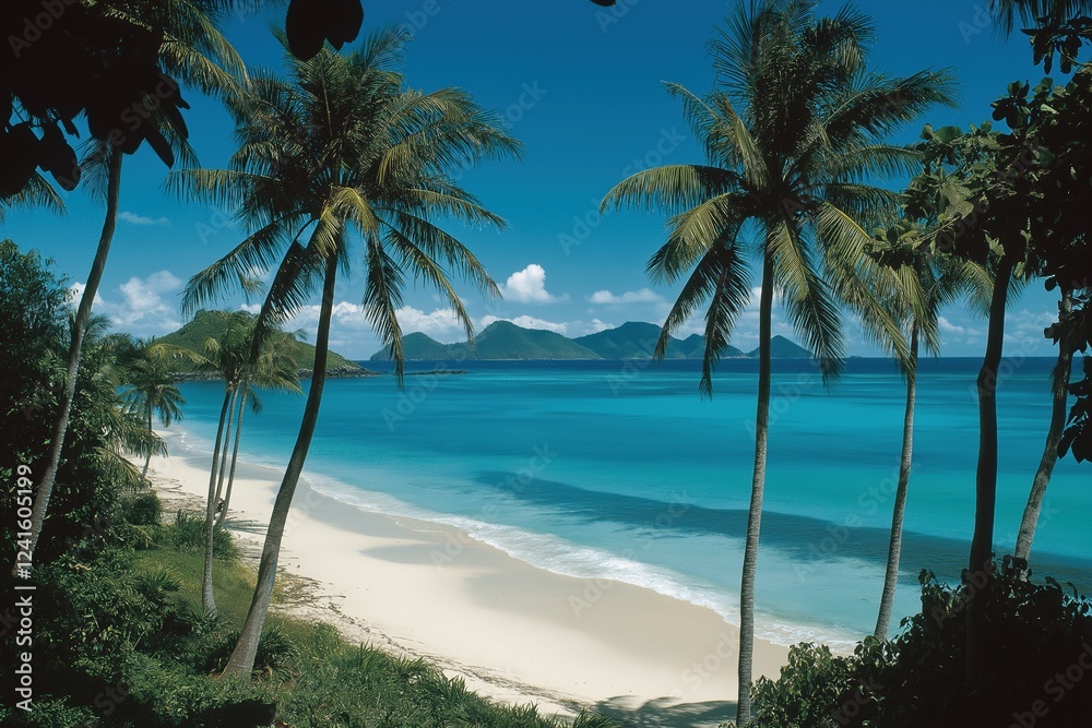 Imagine a serene tropical beach with swaying palm trees, gentle breezes, and clear waters lapping the sandy shore, all under a bright blue sky that enhances this coastal paradises beauty Imagine a serene tropical beach with swaying palm trees, gentle breezes, and clear waters lapping the sandy shore, all under a bright blue sky that enhances this coastal paradises beauty