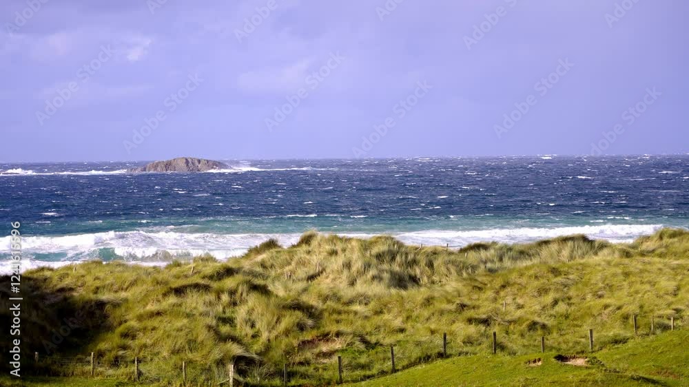 A tranquil coastal scene that beautifully showcases rolling waves and lush dune grasses under a soft morning sky A tranquil coastal scene that beautifully showcases rolling waves and lush dune grasses under a soft morning sky