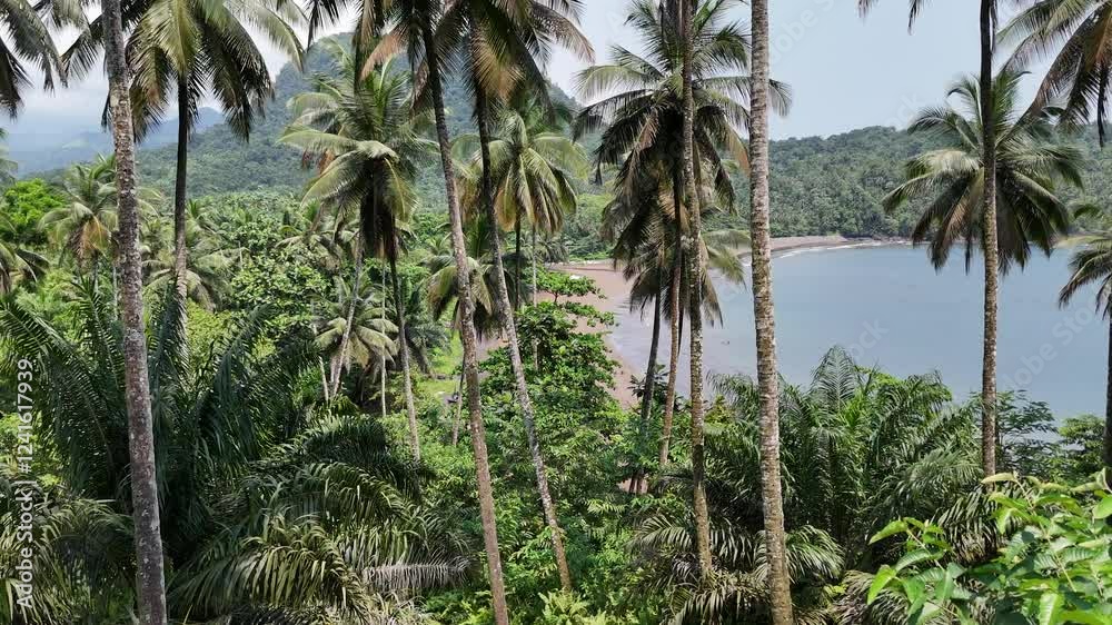 Sao Tome and Principe - Flying Through Tropical Palms Near Micondo. A Paradise of Lush Greenery, Pristine Beaches, and Scenic Coastline. Sao Tome and Principe - Flying Through Tropical Palms Near Micondo. A Paradise of Lush Greenery, Pristine Beaches, and Scenic Coastline.