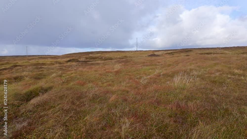 Arranmore Island Donegal Ireland - A mesmerizing and serene coastal landscape showcasing the lush greenery, peaceful bay, and a picturesque sky