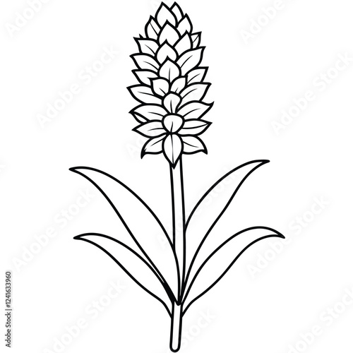 A black and white illustration of a flowering plant with layered petals.