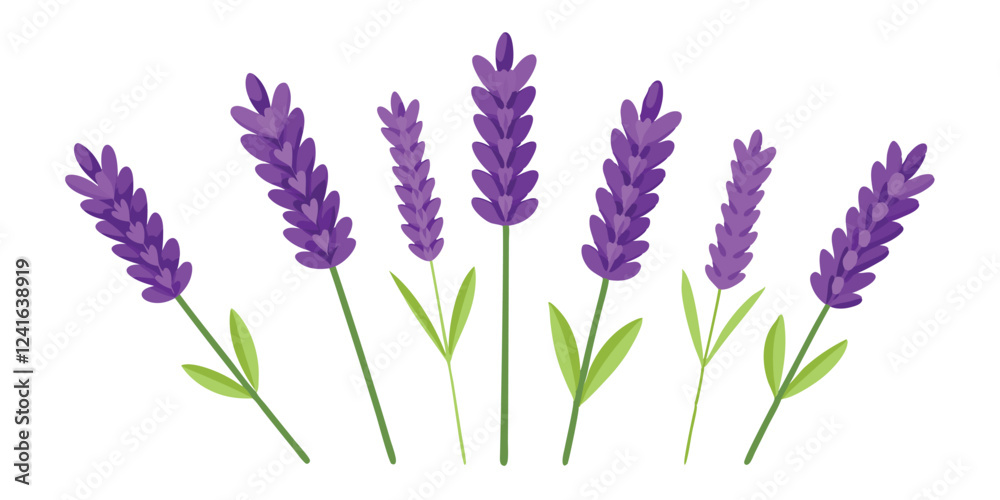 Fototapeta premium A digital illustration of lavender flowers with green leaves on a white background.