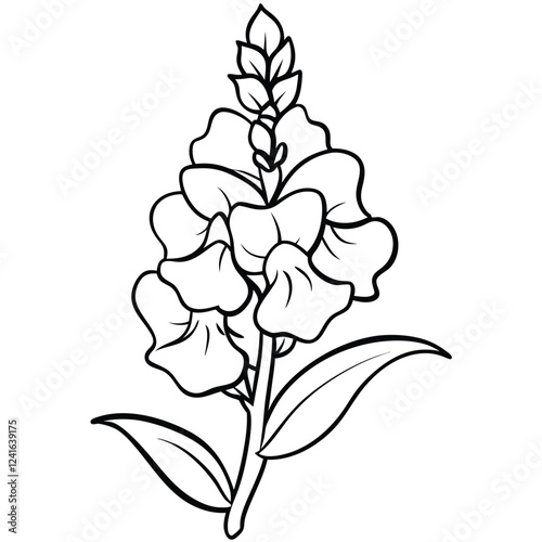 A black and white illustration of a flowering plant with layered leaves and a budding flower.