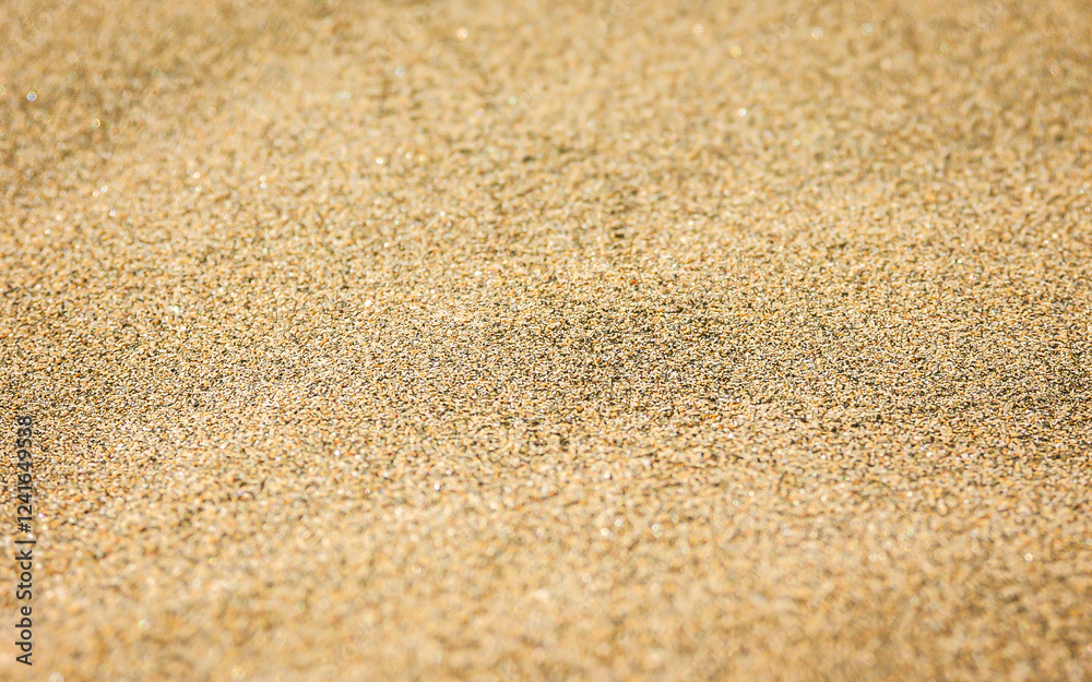 Close up of grains of sand on a beach or in a desert Close up of grains of sand on a beach or in a desert