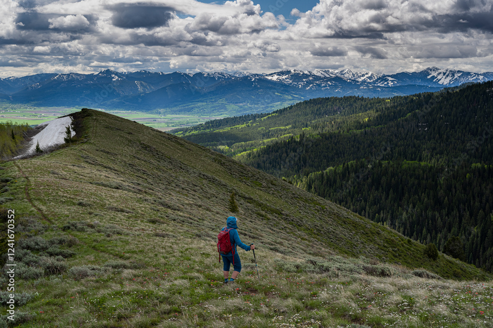 Obraz premium USA, Idaho. Woman hiking in Big Hole Mountains with view of east side of Teton Mountains