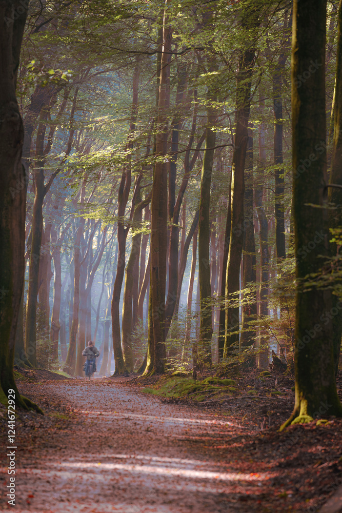 Fototapeta premium Blurry Cyclist in motion on dirt road through majestic forest during autumn