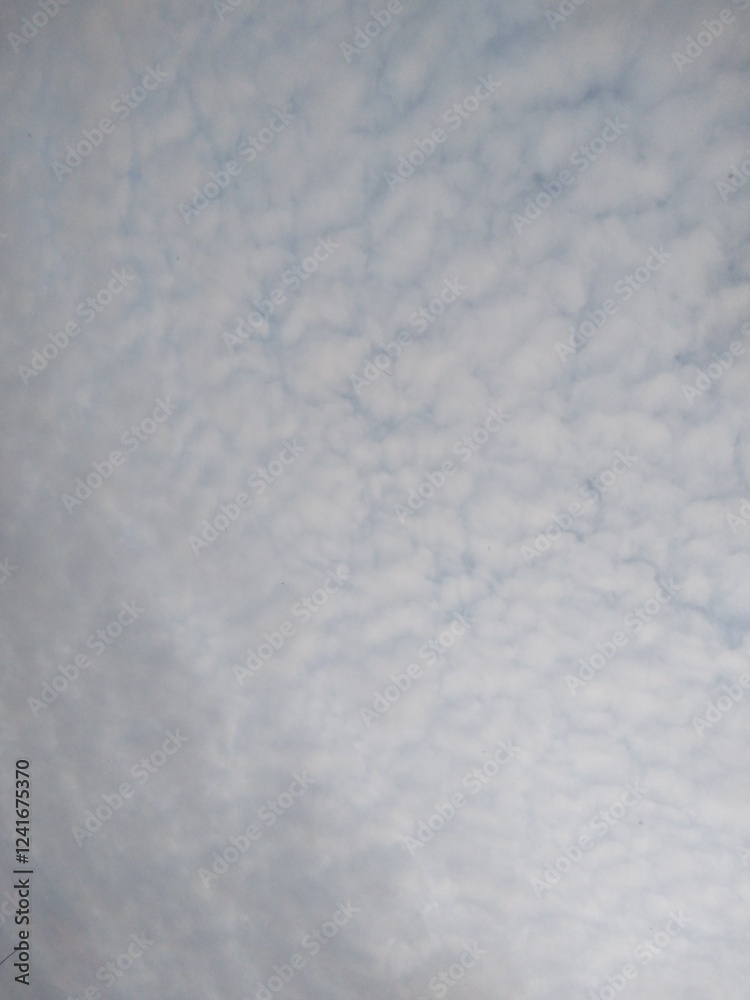 Fototapeta premium cloud in the morning