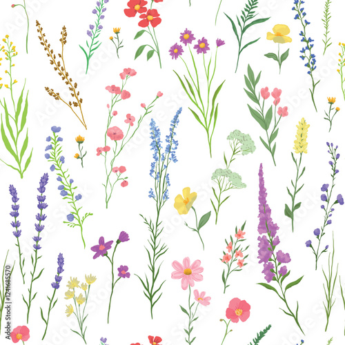 vector illustration of Seamless pattern with various wildflowers and delicate plants