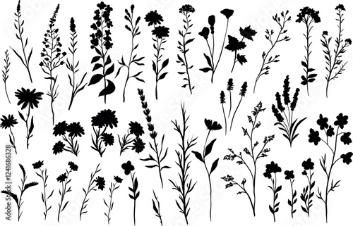 vector silhouettes illustration of various wildflowers and delicate plants set arranged artistically on a white background