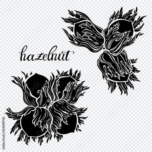 Hazelnut. Hand drawn isolated vector illustrations. Silhouettes. For packaging design, advertising, menus, magazines, recipes.