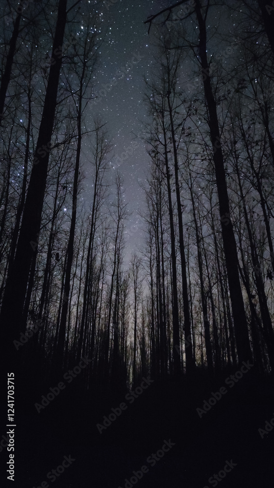 Starry night sky, relax, nature, wonder of infinity cosmos Starry night sky, relax, nature, wonder of infinity cosmos