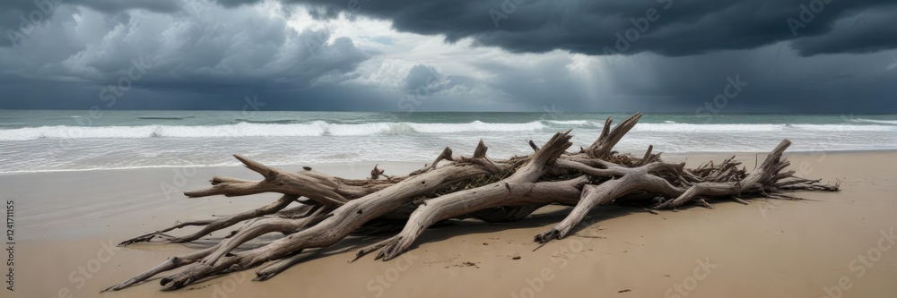 Driftwood and seaweed on the beach with a stormy sky, landscape, seaweed Driftwood and seaweed on the beach with a stormy sky, landscape, seaweed