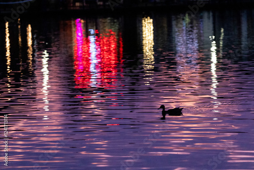 USA, Oregon, Tualatin. Sunset and lights in small pond reflections with lone duck silhouetted photo