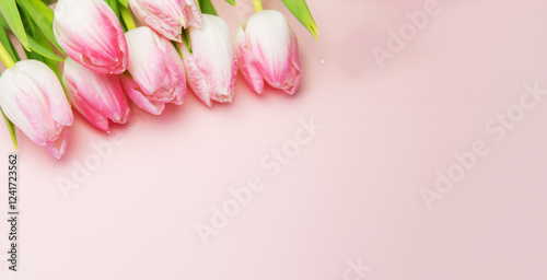A bouquet of fresh blooming buds of pink tulips on a pink background.