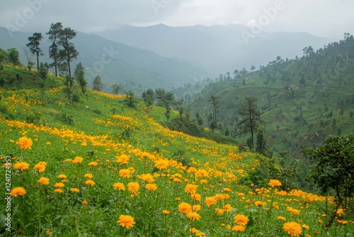 Guransh Laali flowers cover the lower hillsides. photo