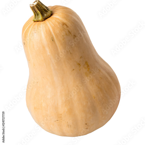 A tan butternut squash with a smooth, matte skin and a bulbous shape. The vegetable is fresh AI Generative 