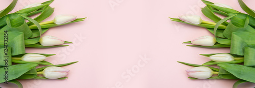 Frame of fresh cut pink tulips on a pink background.