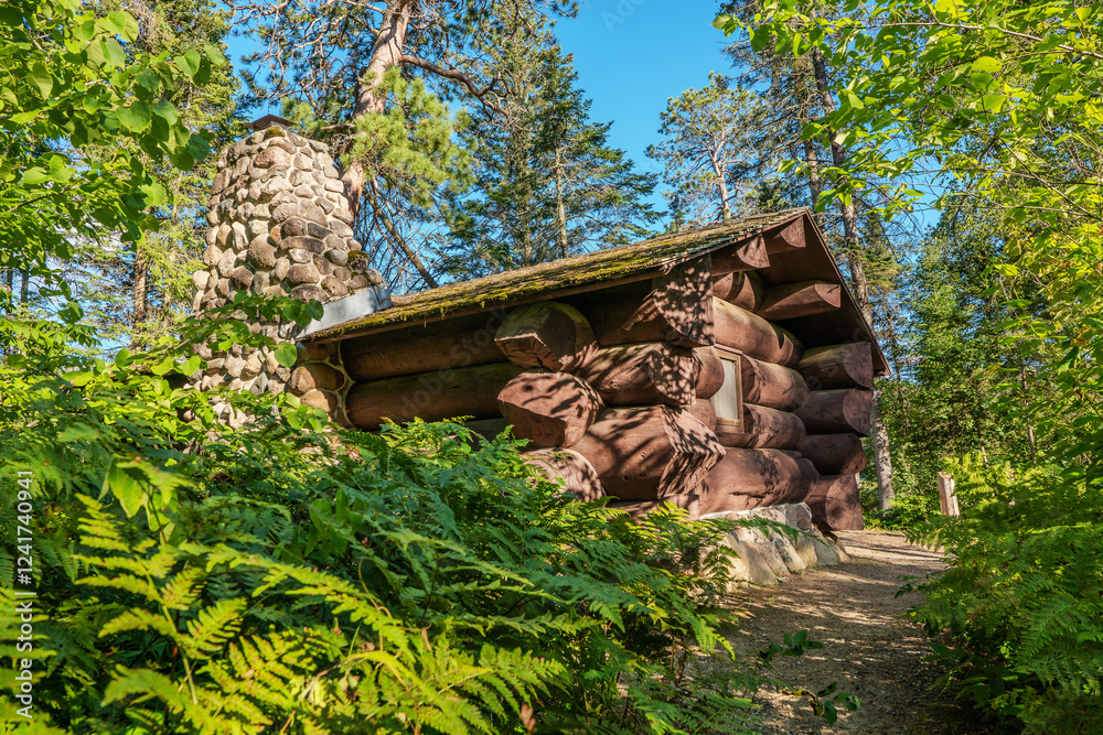 An old cabin made with large logs, and a stone fireplace in a thick green forest with ferns and evergreen trees.