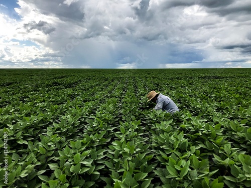 Farmer working in the field.