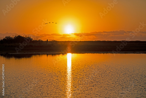Vászonkép USA, Texas, Cameron County