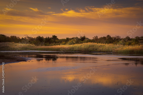 USA, New Jersey, Cape May National Seashore. Sunrise on marsh.