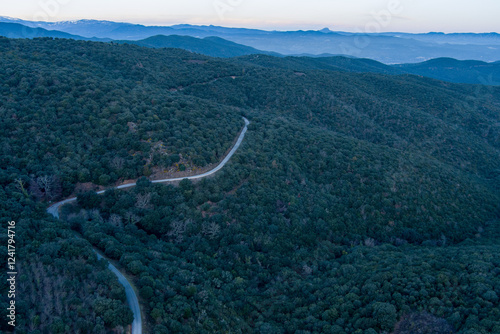 Route serpentant dans les bois et forets de Aspres vue de drone photo