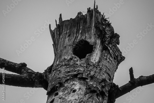 Bild auf Leinwand A Hallow Mystery