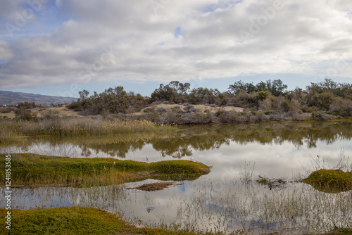 Obraz na płótnie La Charca de Maspalomas - A Birdwatcher's Paradise in Gran Canaria w salonie