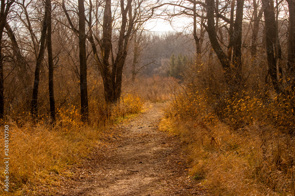 Fototapeta premium Autumn Pathway
