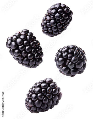 Four fresh blackberries falling on transparent background