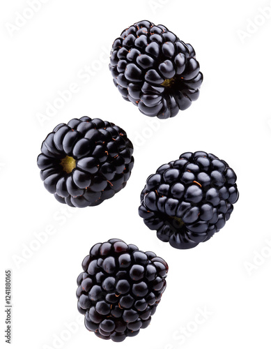 Four fresh blackberries falling on transparent background