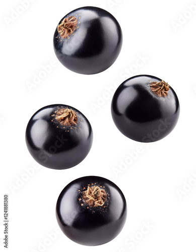 Four black currants falling on transparent background