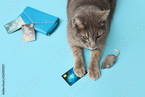 Cute cat with credit cards ...