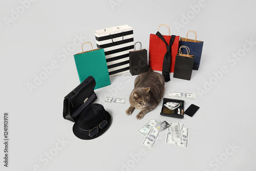 Cute cat with shopping bags...