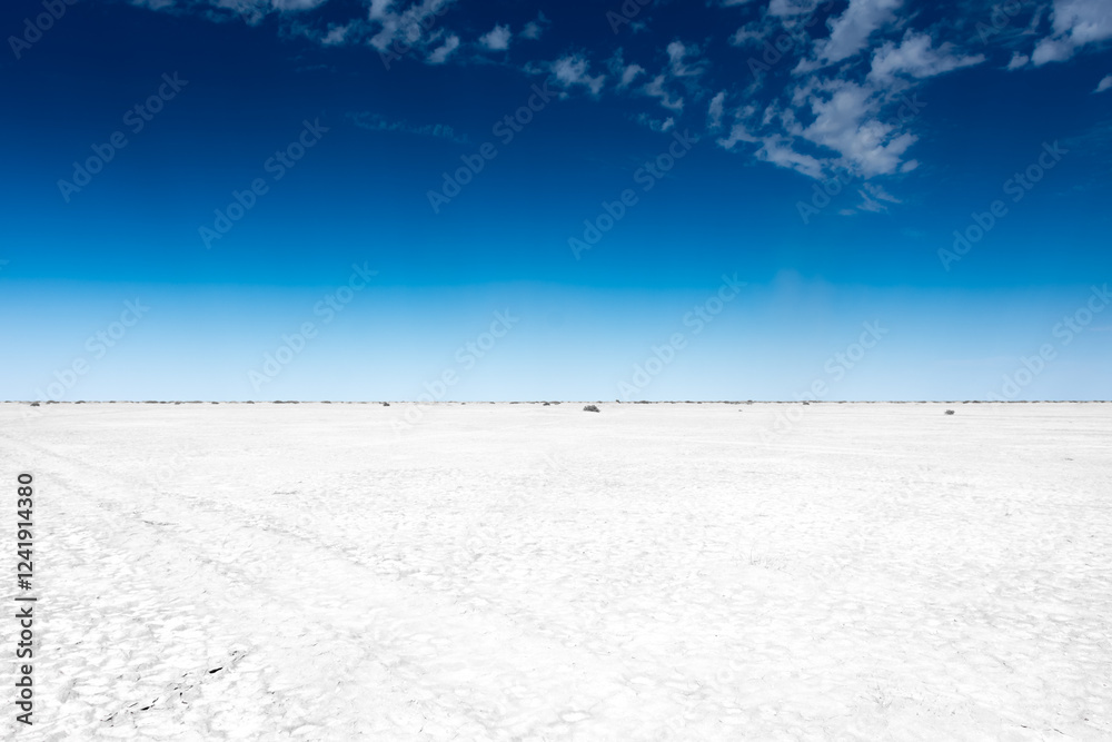 White salt marsh in the Aral Sea desert, Kazakhstan White salt marsh in the Aral Sea desert, Kazakhstan
