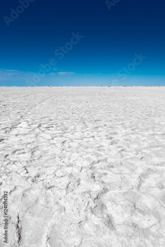 White salt marsh in the Aral Sea  desert, Kazakhstan photo