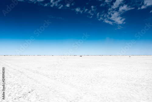 White salt marsh in the Aral Sea  desert, Kazakhstan photo