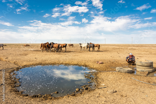 Fotografie Wild horses drinking water from a spring in the desert of the Aral Sea,  Uzbekis