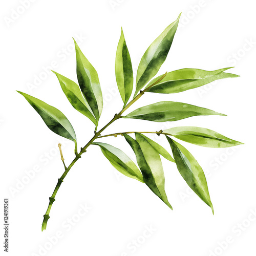Wallpaper Mural Watercolor hand-painted bamboo branch painting illustration isolated on a white background, bamboo branch illustration, AI Torontodigital.ca