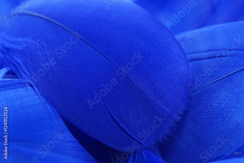 Beautiful blue feathers as background, closeup view