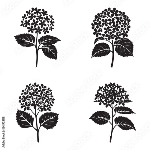 Four stylized, black and white silhouettes of hydrangea flowers and leaves on a white background.