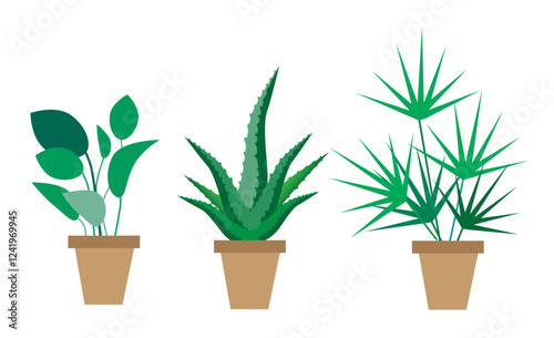 A set of flowerpots with indoor plants on a white background. Ficus, aloe and palm