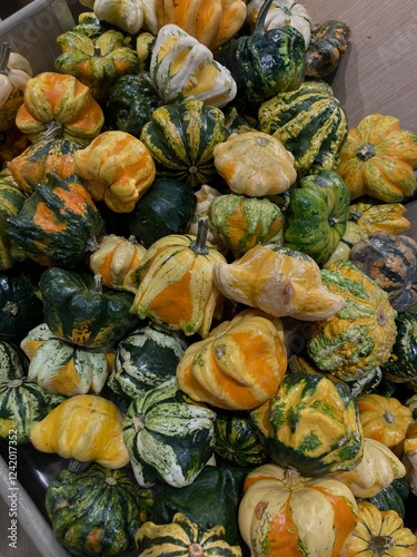 pumpkins and gourds
