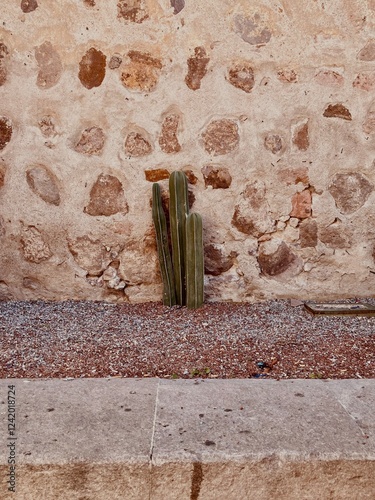 vase on a stone wall