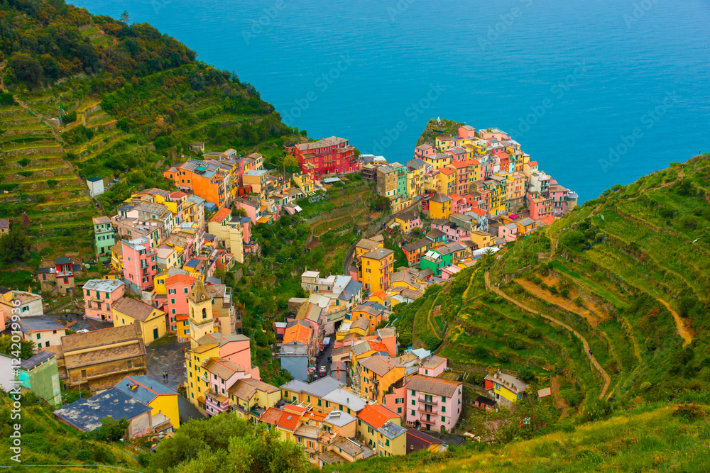 Colorful view of Manarola from above, Cinque Terre, Italy