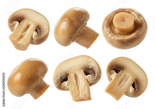 Six canned button mushrooms on transparent background, shown in various cuts and angles