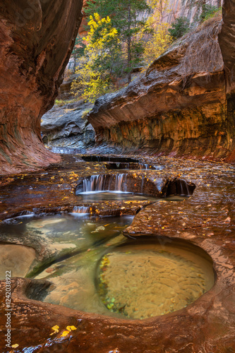 Emerald green pools in The Subway, Left Fork of North Creek, Zion National Pa...