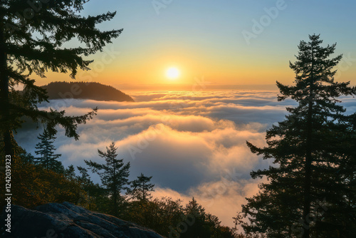Sunrise Above the Fog: A Majestic View