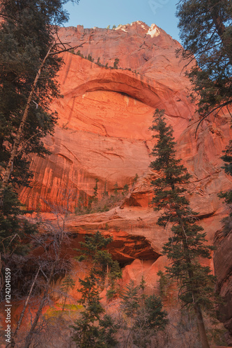 Double Arch Alcove on Taylor Creek, Kolob Canyons Section of Zion National Park, Utah. photo